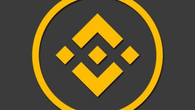 صراع سعر BNB مع تراجع الزخم الصاعد: هل يمكنه تجاوز العقبات؟