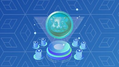 دليل الشيفرة اليومية للعبة 'هامستر كومبات': كيفية استخدام شفرة مورس لكسب مليون عملة مجانًا في لعبة تيليجرام