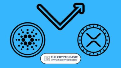 احصل على تحديثات XRP وكاردانو بعد إدراجهما الرئيسي على بروتوكول المشتقات الرائد