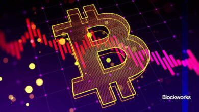 النشرة الإخبارية لإمباير: اكتشف كيف يمكن للعملات الرقمية كسر دورة الأربع سنوات