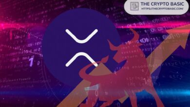 تلميحات Bitrue لانفجار قادم لعملة XRP: اكتشف الأسباب