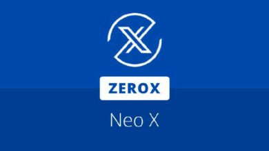 شبكة زيرو إكس تقدم أصول قابلة للاشتقاق على نيو إكس – اكتشف المزيد الآن!