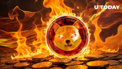 مؤشر رئيسي لشب عملة SHIB يرتفع بنسبة 3,988%، اكتشف التفاصيل الآن