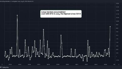 حاملو البيتكوين الكبار أضافوا 5.4 مليار دولار في يوليو - اكتشف المزيد!