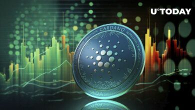 عدم توازن بنسبة ٦٠٠٪ يذهل كاردانو (ADA): اكتشف التفاصيل!