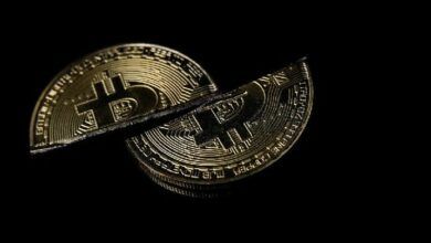 تطور سعر البيتكوين بعد آخر عملية تنصيف: اكتشف التفاصيل الآن