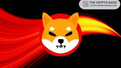 تغريدة غامضة من كوساما تشير إلى نجاح مذهل لشيباإينو – اكتشف الآن!