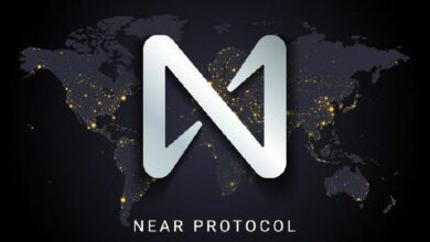 بروتوكول نير (NEAR) يتألق في الربع الثاني رغم تراجع السوق: تقرير