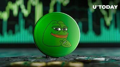 247 مليار PEPE في 24 ساعة، متى الانتعاش؟اطلع على التفاصيل الآن!