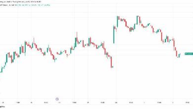 المحلل الذي تنبأ بالقاع في 2018 يتحدث مجددًا: حان وقت شراء العملات البديلة!