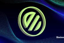 دراسة حالة: نجاح جهود Renzo في إعادة الرهان وتبسيط السلسلة