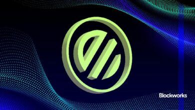 دراسة حالة: نجاح جهود Renzo في إعادة الرهان وتبسيط السلسلة