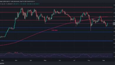 الهدف التالي للبيتكوين بعد ارتفاعه اليومي بنسبة 4%: تحليل سعر BTC