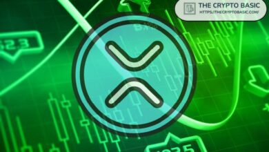 خبير يوضح لماذا سعر XRP يبلغ 1000 دولار ليس خيالياً - اكتشف التفاصيل