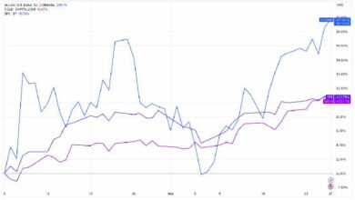 بلاك روك تسلط الضوء على خصائص البيتكوين الفريدة، وتعتبر BTC استثمار طويل الأمد منخفض المخاطر