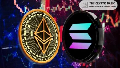 ارتفاع حجم التداول في منصة سولانا DEX بنسبة 45%، متفوقًا على إيثيريوم بـفارق كبير