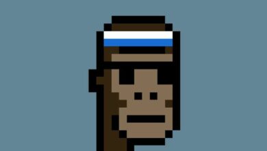 بيع NFT CryptoPunks بقيمة 1.5 مليون دولار مقابل 23,000 دولار فقط—اكتشف السر!