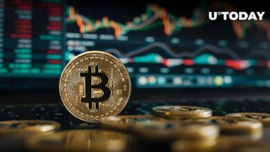 وزيرة الخزانة جانيت يلين تراهن على تعافي الاقتصاد الأمريكي، هل سيتبعها البيتكوين (BTC)؟ اكتشف الآن!