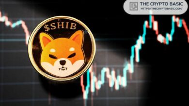 شيبا إينو: محلل موجة إليوت يتوقع بنية معقدة تدفع شيب إلى $0.0002 - اقرأ التفاصيل!