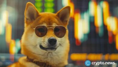 طفرة BABYDOGE بنسبة 120% خلال 10 أيام، هل هناك المزيد من المكاسب أم تصحيح قادم؟