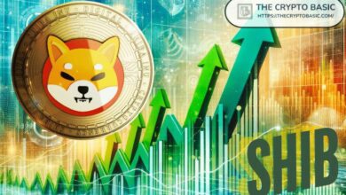 شيبا إينو تتطلع إلى مكاسب بنسبة 100% مع اقتراب الفائدة المفتوحة من 53 مليون دولار