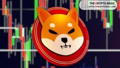 حاملو شيبا إينو يمكنهم تحقيق مكاسب كبيرة مع توقع الخبراء لنمط W