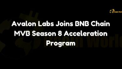 انضمام أفالون لابز لبرنامج تسريع BNB Chain MVB الموسم الثامن – اكتشف المزيد الآن!