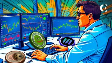 سولانا ترتفع، بيبي تتعافى، دوجويفهات تكتسب زخمًا - اكتشف المزيد الآن!