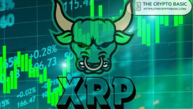 خبير يوصي بالاحتفاظ بعملة XRP حتى تصل إلى 100 دولار: هل أنت مستعد للاستثمار؟