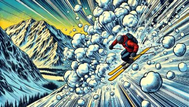 سعر عملة JOE في ارتفاع: اكتشف ما هو التالي!