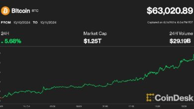 بيتكوين يرتفع بنسبة 7% فوق 63 ألف دولار بينما يترقب متداولو العملات الرقمية بيان التحفيز الصيني – اكتشف المزيد!