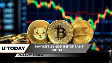 بيتكوين (BTC) تكشف عن تقاطع خفي - انفجار تقلبات شيبا إينو (SHIB) قادم - سولانا (SOL) تتطلع لتخطي حاجز 200 دولار!