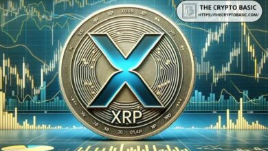 خبير يحدد الإطار الزمني لوصول سعر XRP إلى 3 دولارات - اكتشف التفاصيل