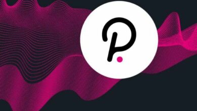 أول بيع لنواة بولكادوت مقابل 69 DOT: هل سترتفع الأسعار؟ اقرأ الآن لمعرفة المزيد!