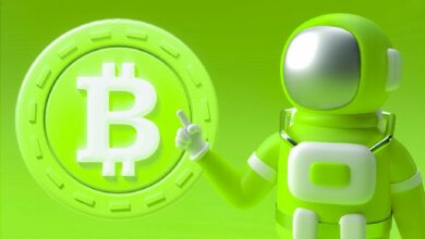 محلل رائد يتوقع تراجعًا جديدًا لبيتكوين، ويُحدّث توقعاته لدوجويفوهات وبوبكات - تعرف على المزيد!