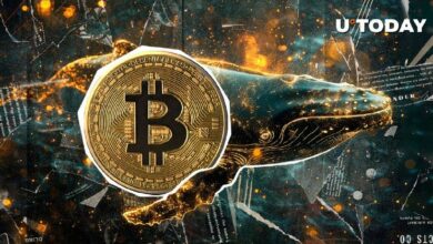 1.97 مليون بيتكوين محجوزة من الحيتان الجديدة: اكتشف التفاصيل