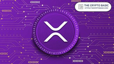 منصة استثمار تتوقع سعر XRP خلال الأشهر 6 إلى 12 المقبلة - اكتشف التفاصيل الآن