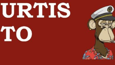 كيفية إعداد شبكة ApeChain Mainnet على MetaMask - اكتشف الطريقة الآن!