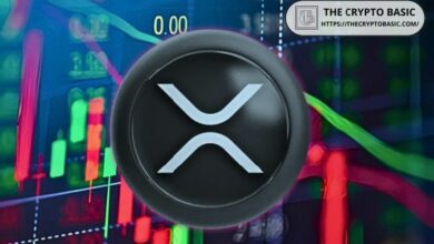 خبير يكشف: لن تحقق XRP إنجازاً كبيراً حتى حدوث هذا الأمر