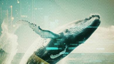 عدد حيتان بيتكوين يبلغ ذروته منذ يناير 2021 - تعرف على التفاصيل!