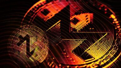 العملات المشفرة الخصوصية تواجه أعلى معدل إزالة في عام 2024 — اعرف المزيد من كايكو