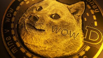 محلل العملات الرقمية يتوقع ارتفاع سعر دوجكوين بنسبة 37%: اكتشف مستويات الدعم الآن!