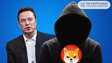 زعيم شيبا إينو يقترح هذا الفكرة على إيلون ماسك من أجل دمجها في فريق ترامب - اكتشف التفاصيل الآن!