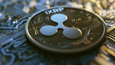 البيعون على المكشوف يتكبدون الخسائر مع ارتفاع XRP بنسبة 25% خلال 24 ساعة – اكتشف المزيد!