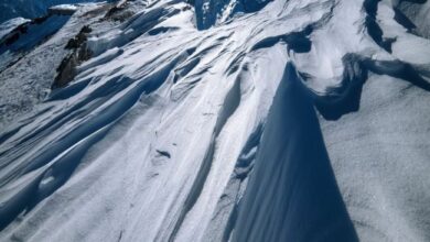 المطورون يطلقون شبكة اختبار "Avalanche9000" للبلوكشين - اكتشف المزيد!