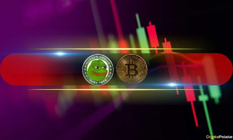 سعر بيتكوين متقلب عند 91 ألف دولار، وPEPE ينخفض بنسبة 7% يوميًا - اكتشف التفاصيل الآن! (مراقبة السوق)
