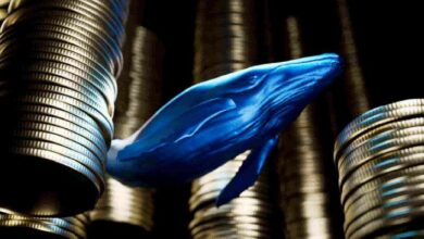 سعر XRP يرتفع بشكل كبير مع تحركات ضخمة من الحيتان: اكتشف المزيد!