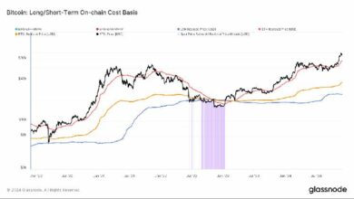 بيتكوين تستعد لتحقيق رابع أقوى شهر لها منذ أكتوبر 2021 - اكتشف التفاصيل الآن!
