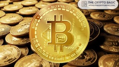 تزايد تراكم الحيتان مع إطلاق خيارات البيتكوين ETF وارتفاع BTC إلى أعلى مستوى تاريخي عند 94 ألف دولار - اكتشف التفاصيل!