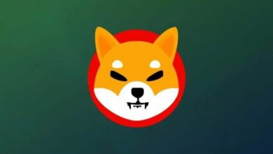 مراقبة سعر شيبا إينو: ارتفاع 60% يجذب انتباه الحيتان – هل هناك نمو أكبر في الأفق؟